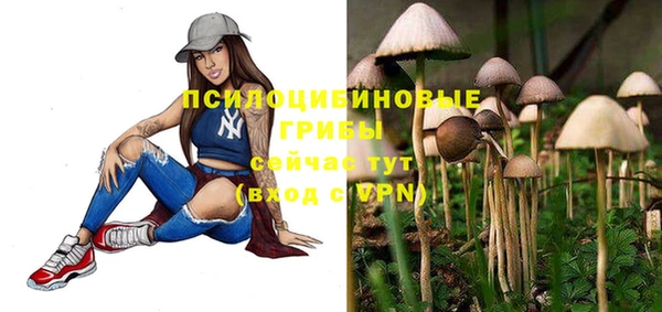 твердый Каменка