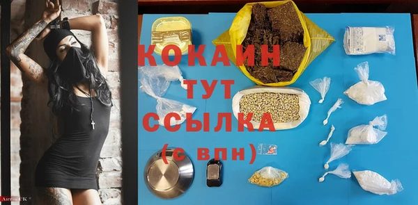 твердый Каменка
