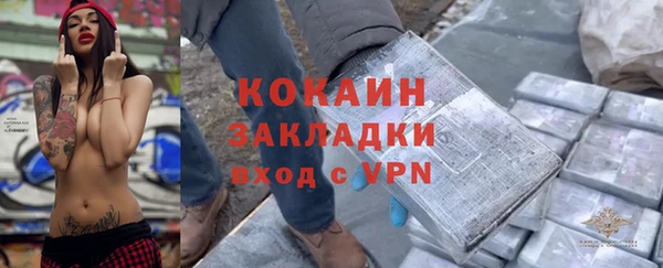 твердый Каменка